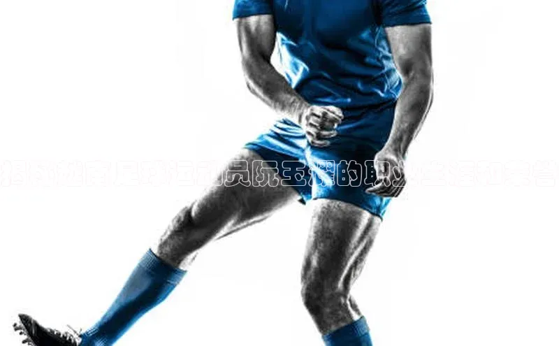 欧亿体育app安装方法详解百度取证揭秘越南足球运动员阮玉耀的职业生涯和荣誉