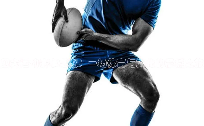 欧亿体育下载官方网站度小满理财四大运动赛事之巅：一场体育与文化的震撼之旅