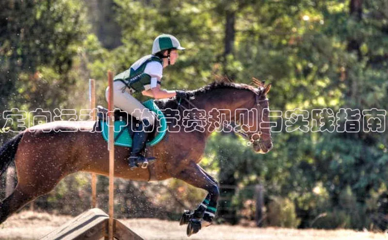定向运动中的竞赛规则与实践指南