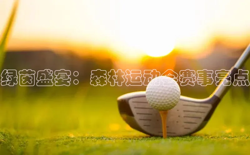 绿茵盛宴：森林运动会赛事亮点