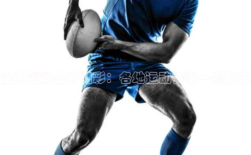 全国运动会的精彩：各地运动赛事一览指南