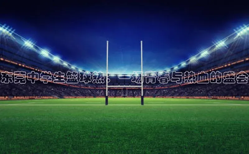 东莞中学生篮球热：一场青春与热血的盛会