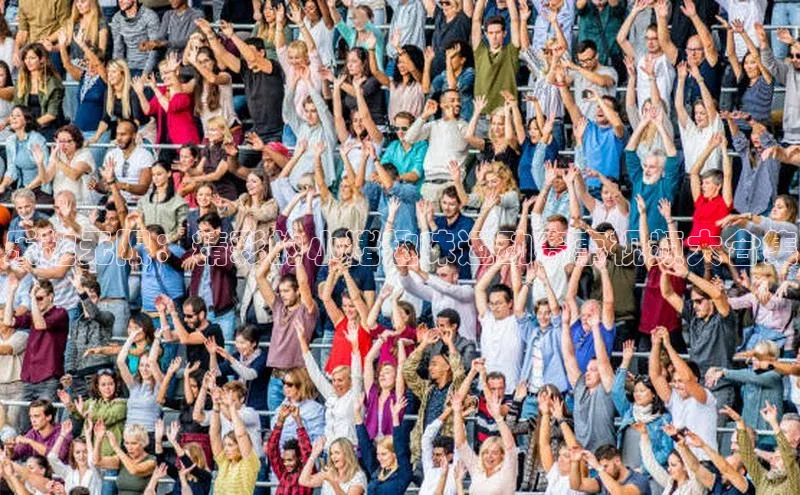 乐趣无限：精彩的小猪趣味运动赛事视频大合集