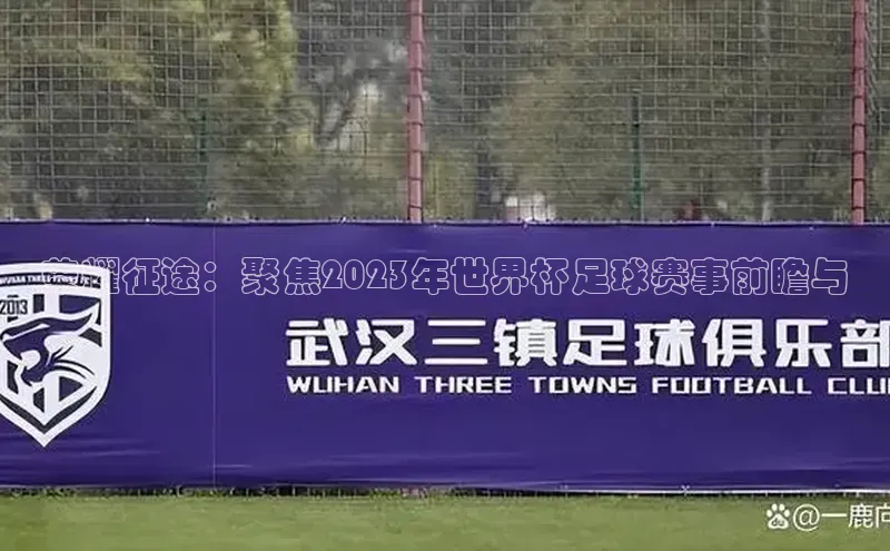 荣耀征途：聚焦2023年世界杯足球赛事前瞻与
