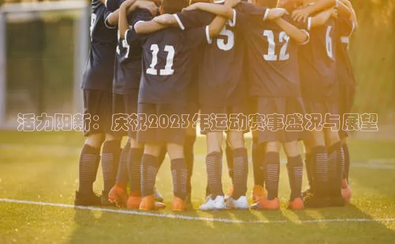 活力阳新：庆祝2023年运动赛事盛况与展望