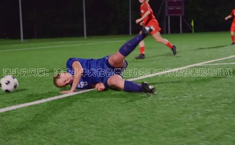 法斗的风采：法式斗牛犬在各类运动赛事中的精彩表现与挑战