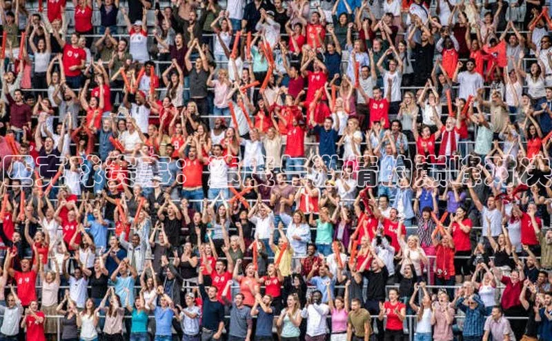 匹克球赛事：速度与激情的巅峰对决