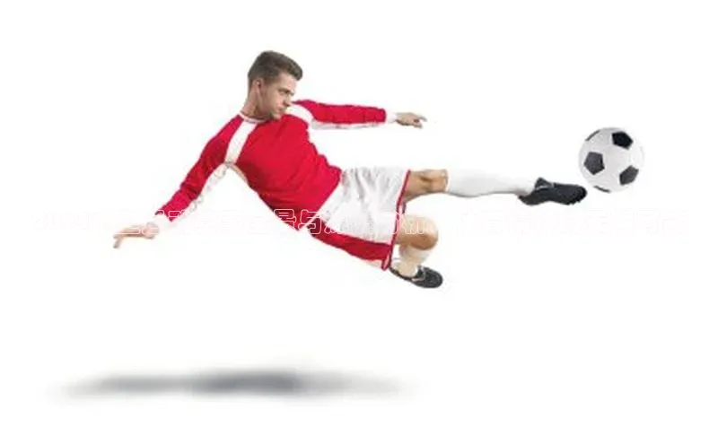 2024大型运动赛事全景与深度分析：体育精神的无限可能