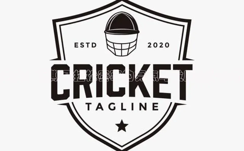 未来：近期马拉松赛事的亮点与发展趋势分析