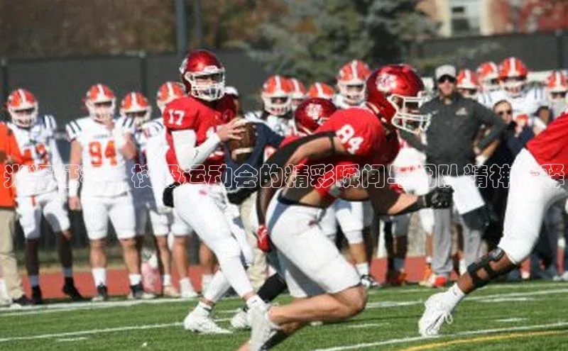 光辉征程：校级运动会的精彩瞬间与团队精神诠释