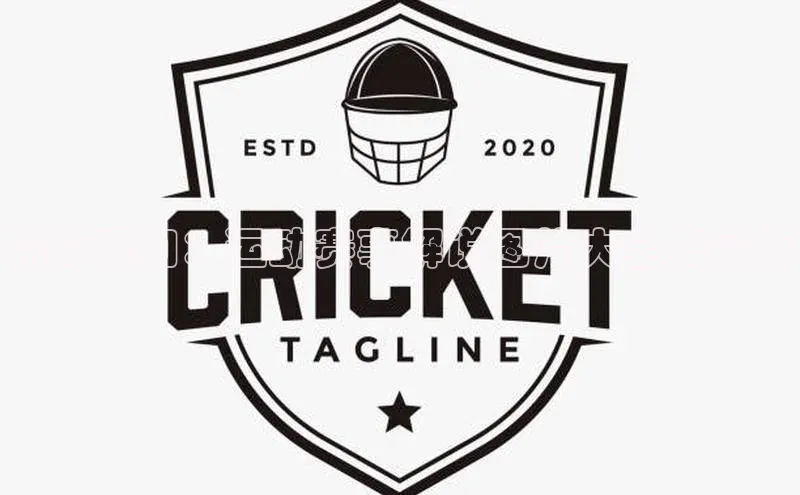 精彩瞬间：运动赛事解说图片大全集赏析