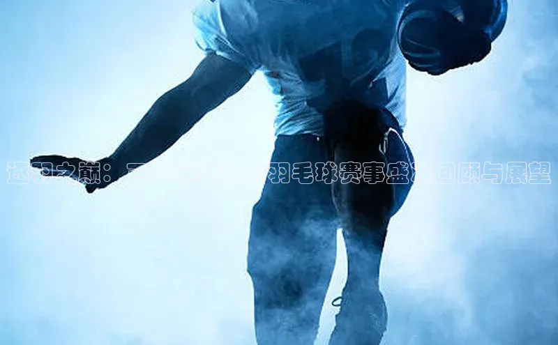 逐羽之巅：三沙市运动会羽毛球赛事盛况回顾与展望